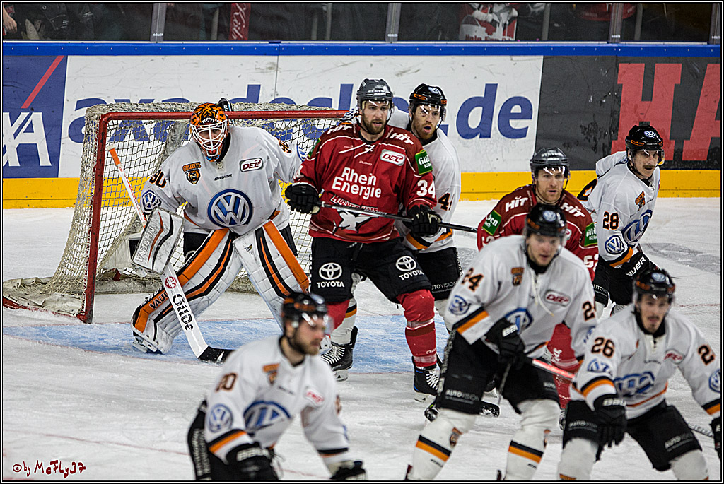 DEL, Koelner Haie - Grizzlys Wolfsburg, 21.03.2017